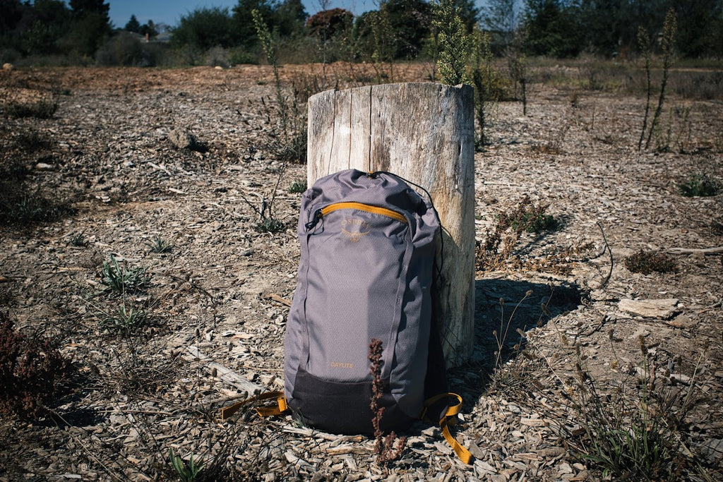 Our Team’s Favorite Bags Under $100