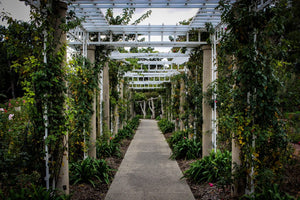 How To Grow A Beautiful, Abundant Vertical Garden: Discover The Method That’s Right For You