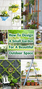 How to Design a Small Garden for Beautiful Outdoor Spaces