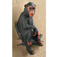 Chimpanzee Wall Hook